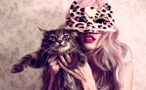 audrey kitching,  cat and  cute