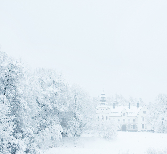 house, limeamanda and snow