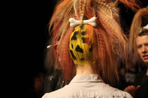 accentric, beautiful, bone, clip, clip hair