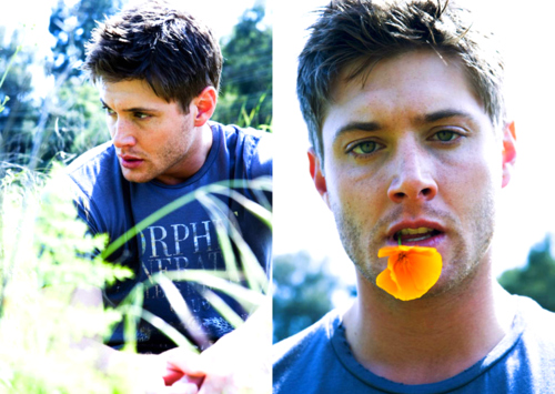 green eyes, jackles and jensen ackles