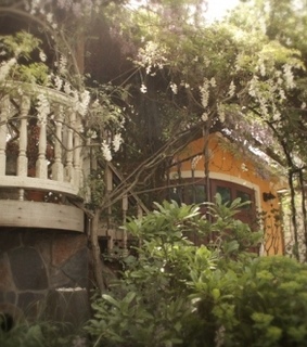 balcony, exterior and flowers