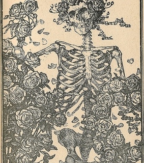 book, flowers and illustration