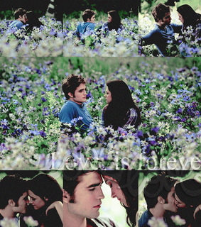 kristen stewart, love is forever and robert pattinson