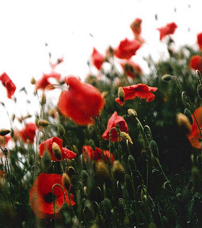 35mm, abandoned and abandoned building