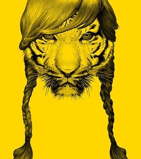 animal, animal head and animals