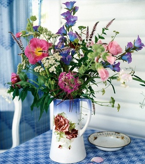 flowers, garden flowers and green