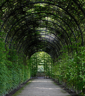 archway, countryside and foliage