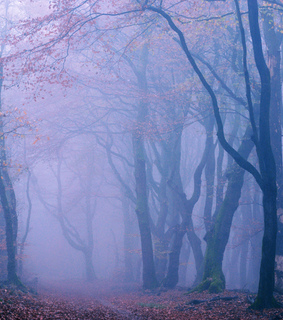 beautiful, januarymidnight and landscape