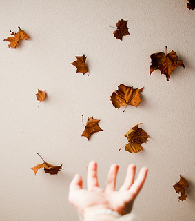 hand, januarymidnight and leaves