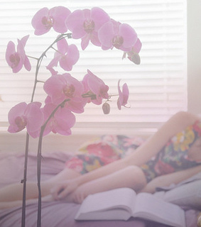 ????, all things beautiful and bed