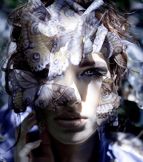 animal, art and beauty