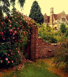 beautiful, cottage and flowers