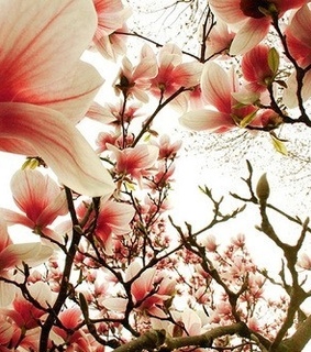 angle, beautiful and beauty