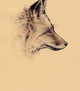 animals, art and draw