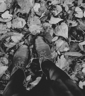 beautiful, black and black and white