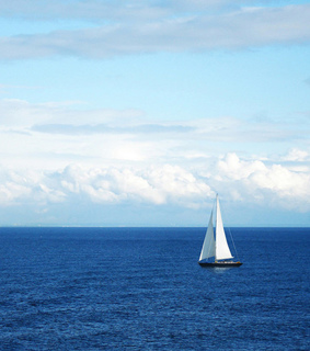 blue, cute and freedom