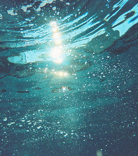 beauty, blue and nature