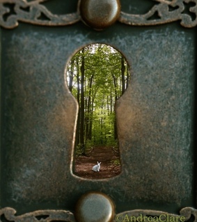 bunny, forest and garden