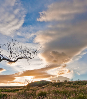 big island, clouds and grass