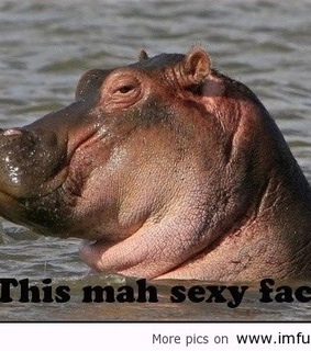 2012, animals and art