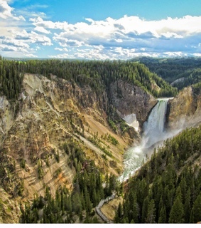 2012, animals and art