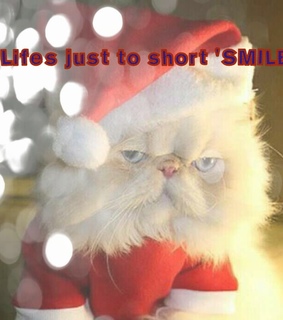 ashley may, cute and life smile