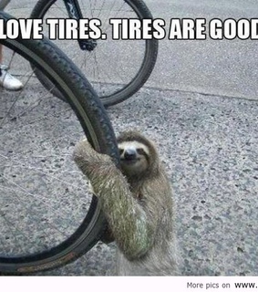 funny 2013, funny images and funny new year 2013