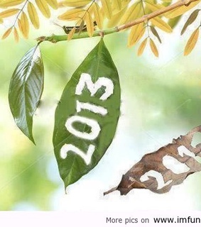 funny 2013, funny images and funny new year 2013