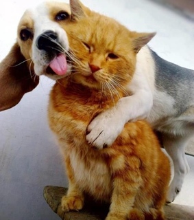 funny 2013, funny images and funny new year 2013