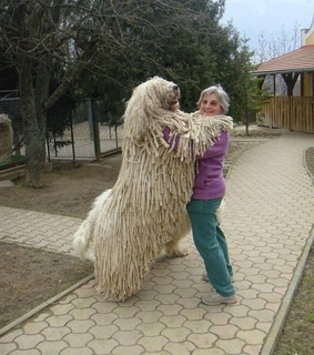 funny 2013, funny images and funny new year 2013