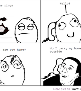 2012, animals and art