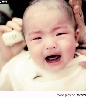 funny 2013, funny images and funny new year 2013