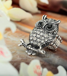animal, crystal owl ring and fashion