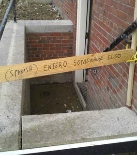 animals, animals 2013 and awesome pictures 2013