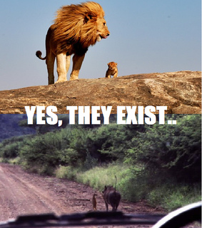 disney, lion king and mufasa