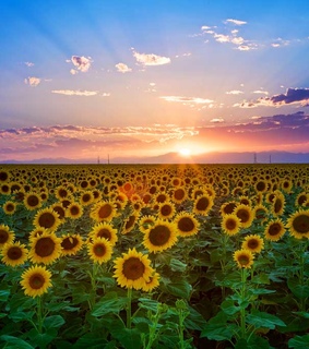 sunset, sunset 3d and sunset backgrounds