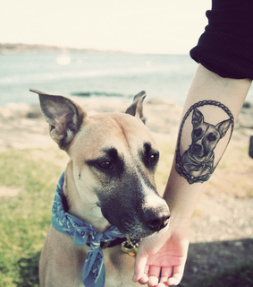 adorable, amazing and animal