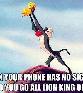 lion king, network and people