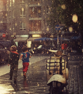 autumn rain, drop rain and fresh