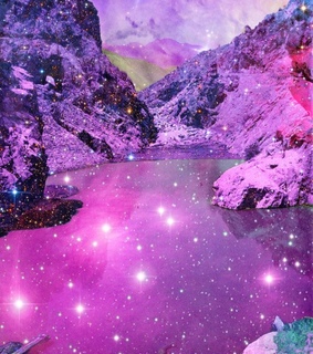 animal, animals and color