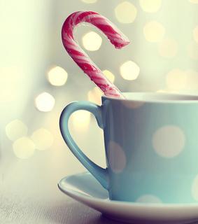 candy, cane and chocolate