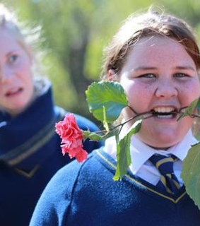 anna, anna frances and anna frances whiteley