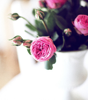 art, beautiful and black