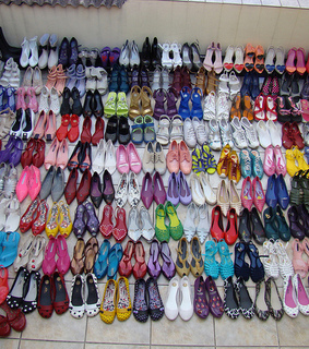 animal, boy and colors