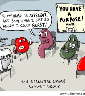 beauty girls, cool and cool girls