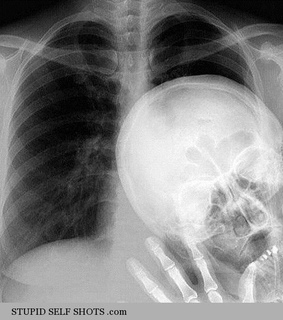 funny, humor and photobomb