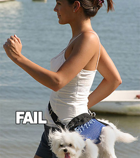 dog and cat, dog photo and Dog images