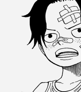 anime, manga and one piece