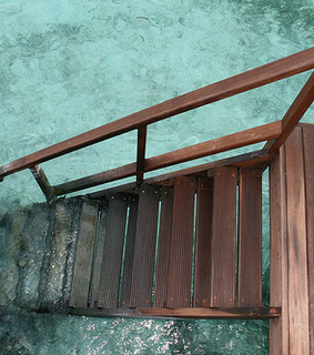 amazing, beautiful and boardwalk