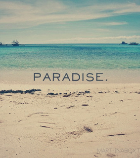 amazing, beach and cool